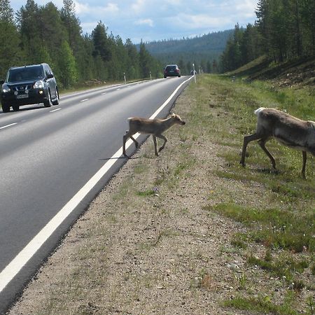 Saariselaen Marjamajat Villa Saariselkä Exteriör bild