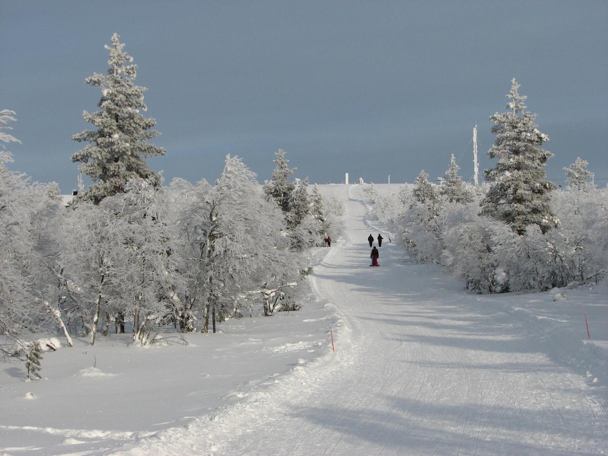 Saariselaen Marjamajat Villa Saariselkä Exteriör bild