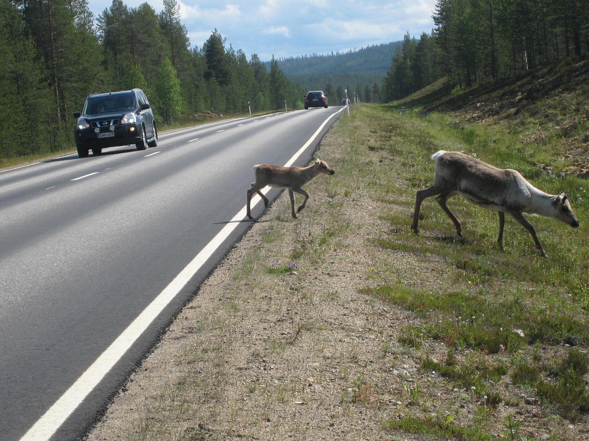 Saariselaen Marjamajat Villa Saariselkä Exteriör bild