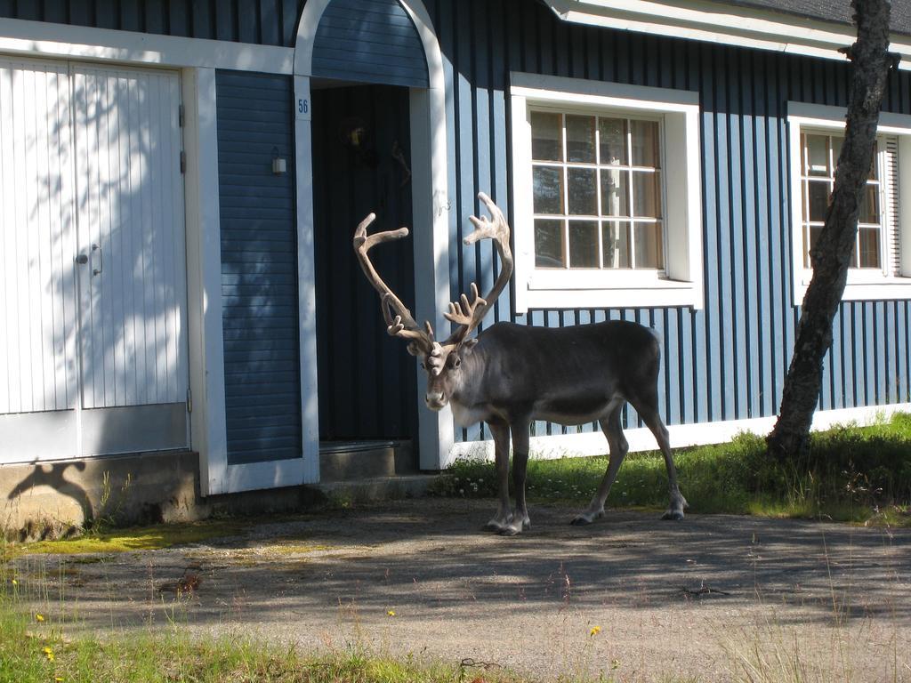Saariselaen Marjamajat Villa Saariselkä Exteriör bild
