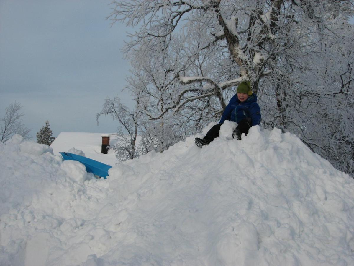 Saariselaen Marjamajat Villa Saariselkä Exteriör bild