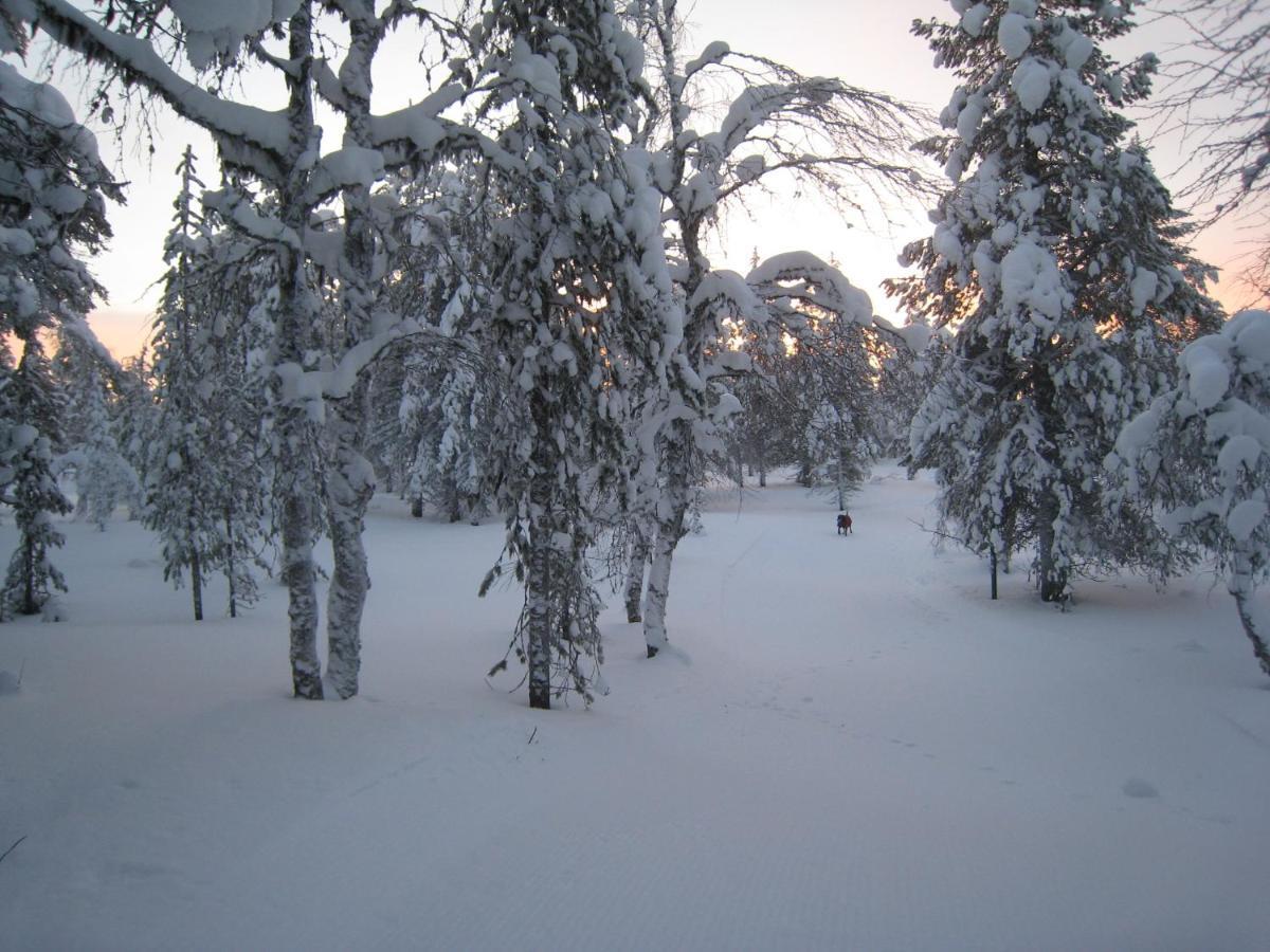 Saariselaen Marjamajat Villa Saariselkä Exteriör bild